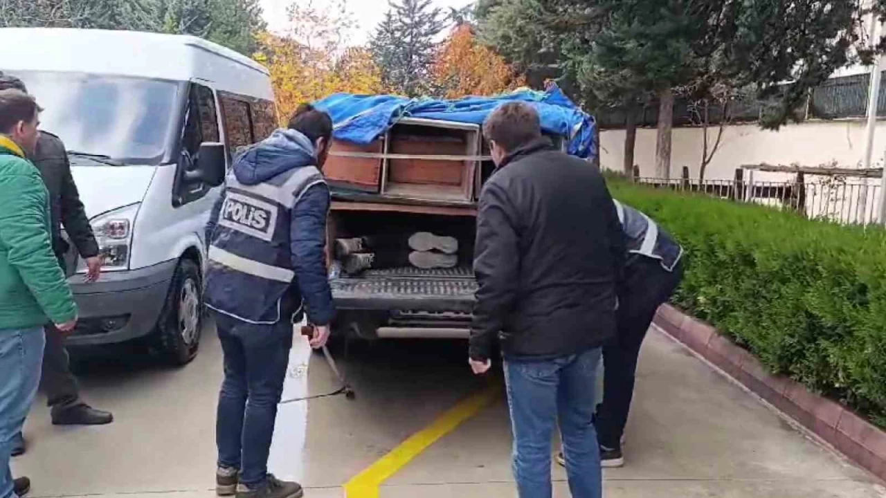 Arı kovanlarından bal değil kaçak göçmenler çıktı