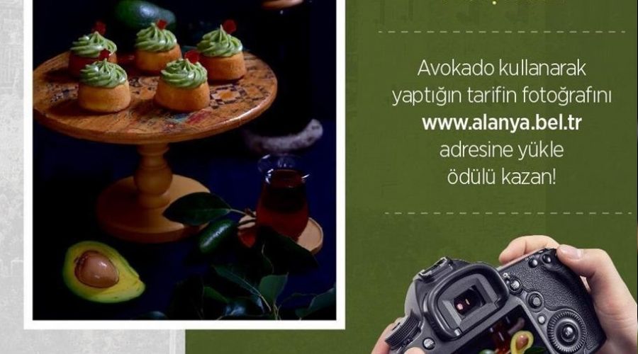 Avokadolu lezzetler fotoğraf yarışması başlıyor