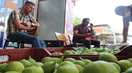 Aydın’da erkek sıkıntısı