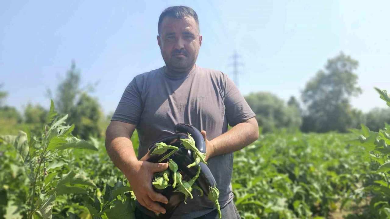 Baba mesleini brakt, 25 yldr topraa emek veriyor