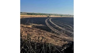 Babaeski'de yaklaşık 30 dönüm ekili buğday yandı