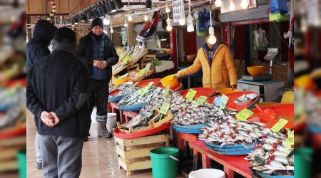 Balık fiyatında şok düşüş