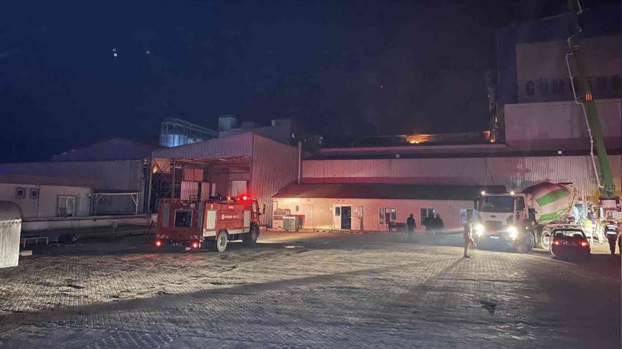 Bal�k yemi fabrikas�ndaki yang�n kontrol alt�nda 