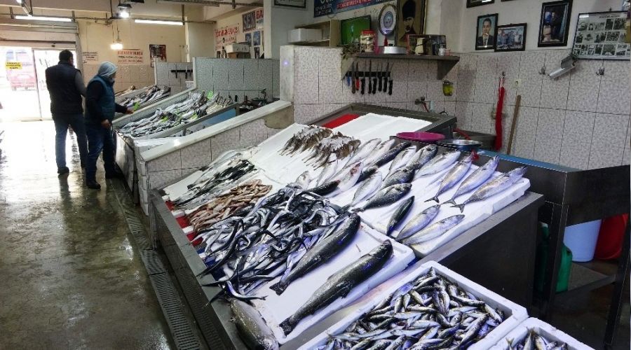 Bal�k��lar hamsinin yolunu g�zl�yor