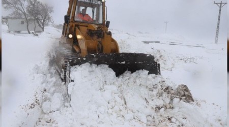 Balıkesir'de ağıllarda mahsur kalan 600 hayvan kurtarıldı