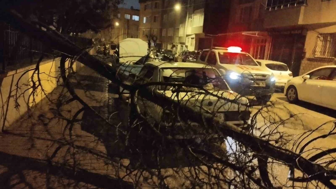 Bandırma ve Erdek'i fırtına vurdu