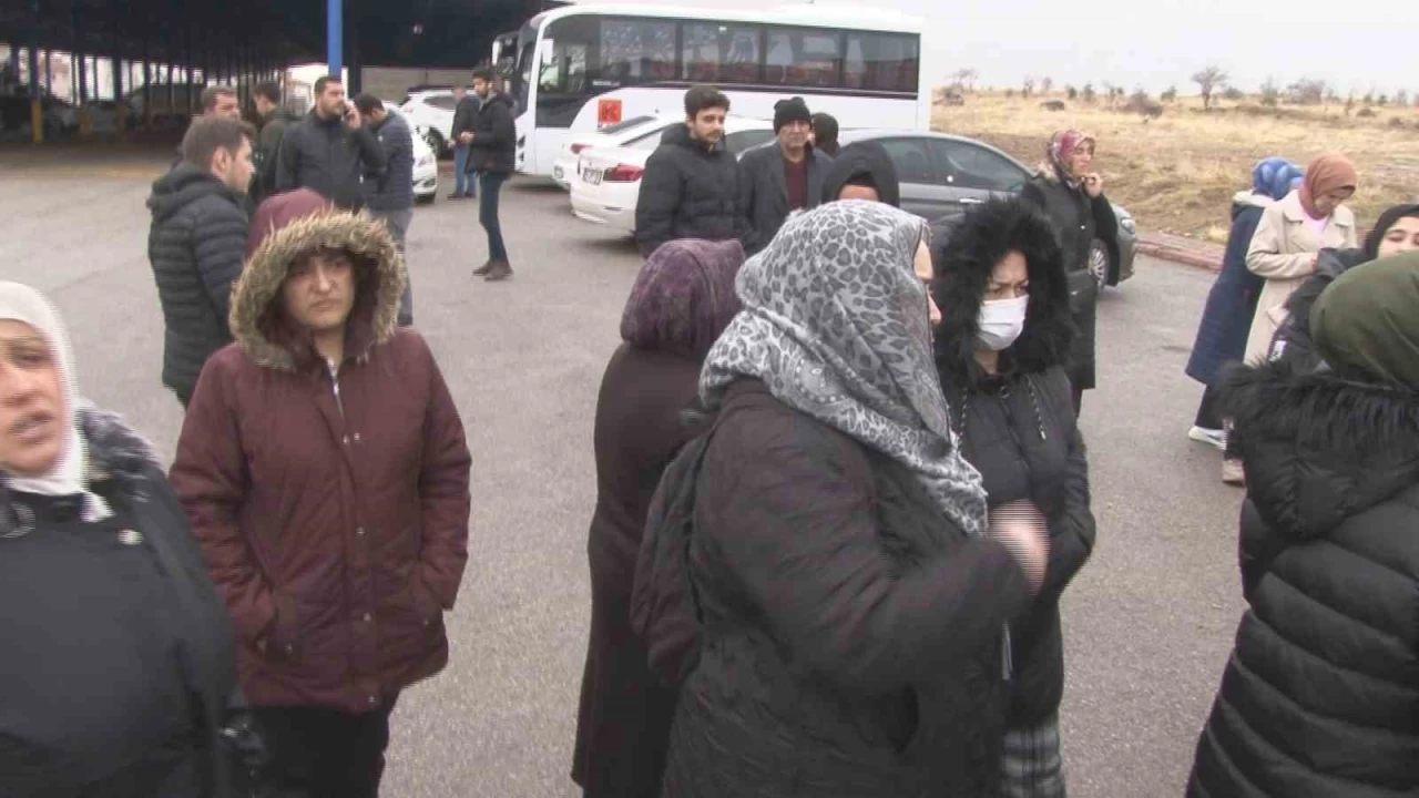 Başkent'te başıboş köpek dehşeti