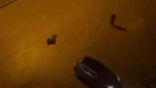 Batman'da cinayet: 2 ölü