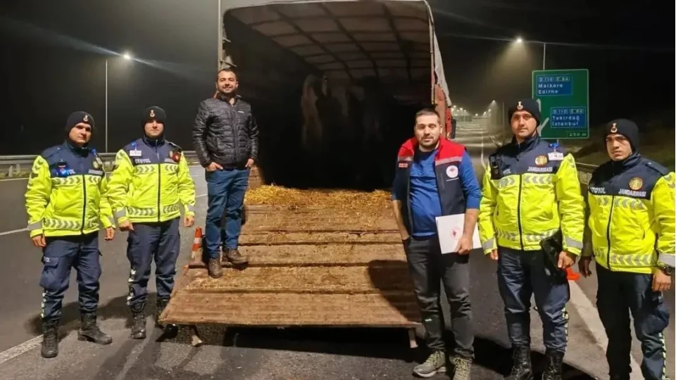 Belgesiz hayvan sevkine ceza: Hayvanlar i�letmeye iade edildi