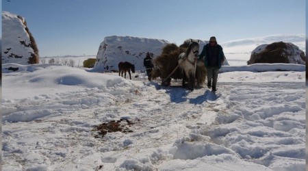 Besicilerin en büyük destekçileri atlı kızaklar