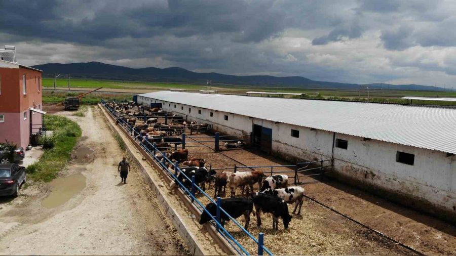 Besicilerin 'Kurban' hazrlklar hz kazand