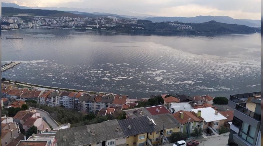 Beyaza b�r�nen Gemlik K�rfezi korkuttu