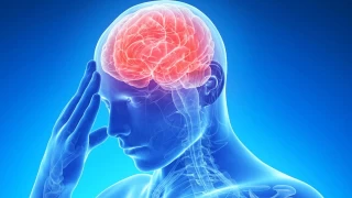 Beyin Sağlığını Geliştiren Besinler ve Şifalı Bitkiler