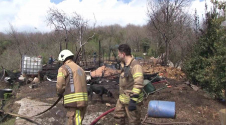 Beykoz'da ahr yand, 2 hayvan telef oldu