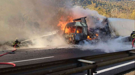 Bilecik'te kesilmiş tavuk yüklü tır cayır cayır yandı