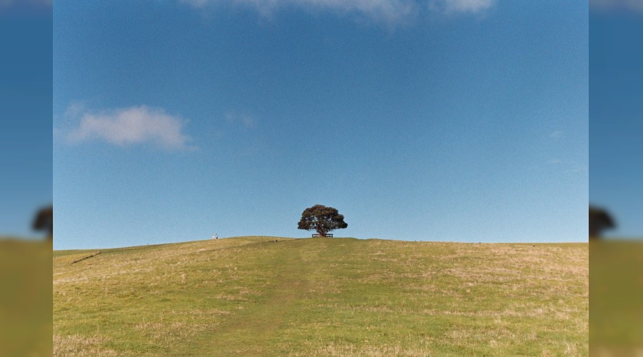 Bin aydan hay�rl� gece