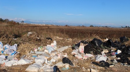 Bir zamanlar kuş cennetiydi!
