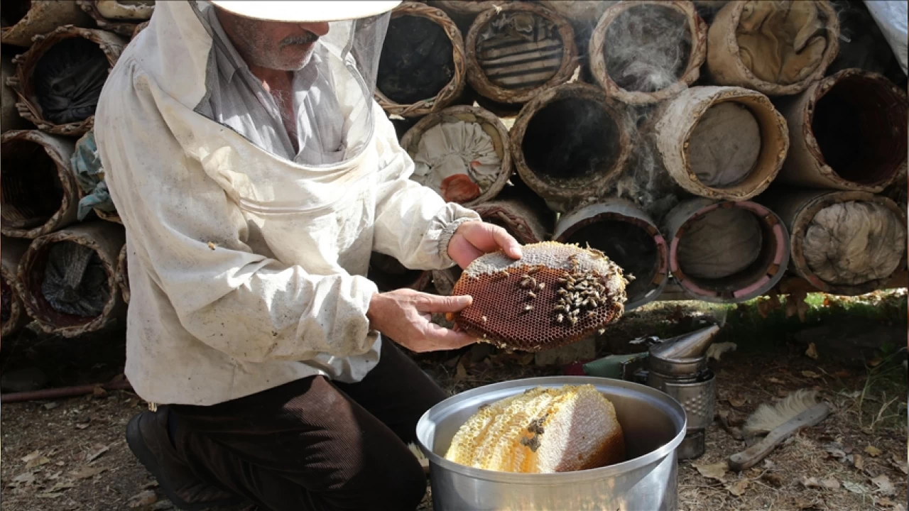 Bitlis'in karakovan bal� yurt d���ndan da al�c� buluyor