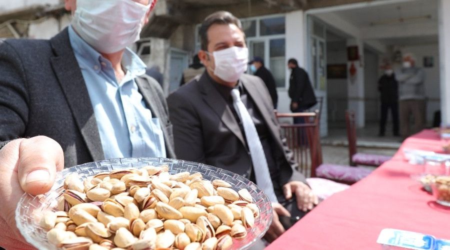 Bozuk ormanl�k alanlar 'ye�il alt�n'a d�n�yor