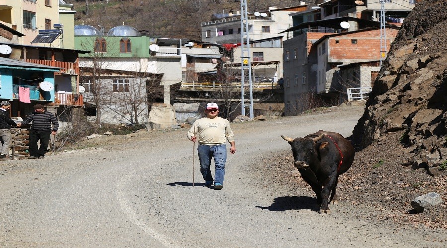 Bu bo�an�n ismi bile korkutuyor