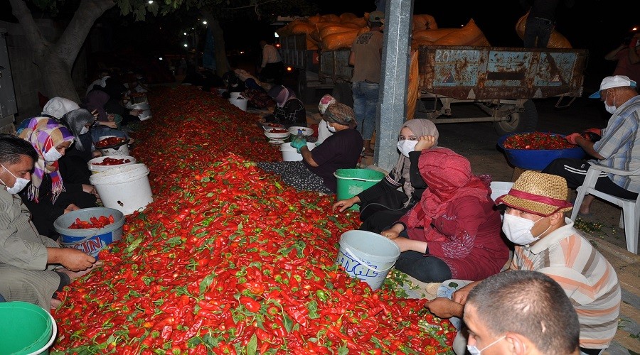 Bu mesai çok acılı