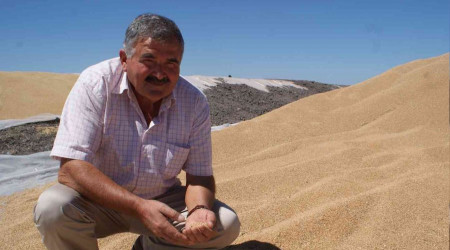 Buğday üreticisi TMO'yu tercih ediyor