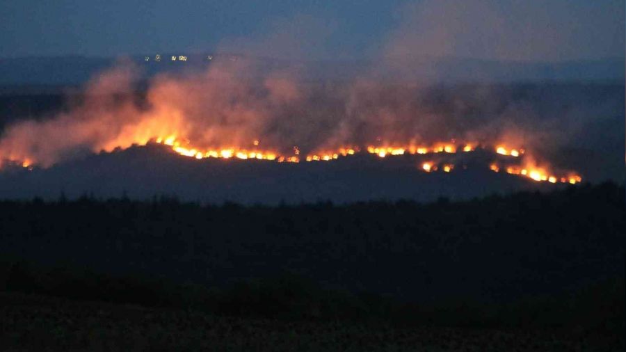 Bulgaristan'daki yangın sınır köylerimize dayandı