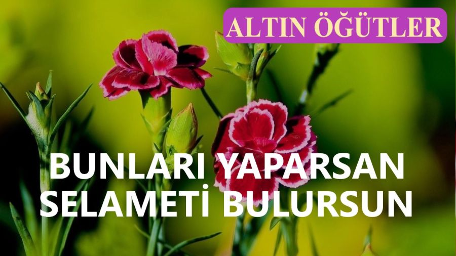 Bunları yaparsan selameti bulursun
