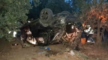 Bursa'da araç zeytinliğe daldı