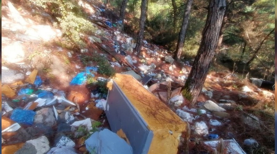 Bursa'da bir çevre katliamı daha