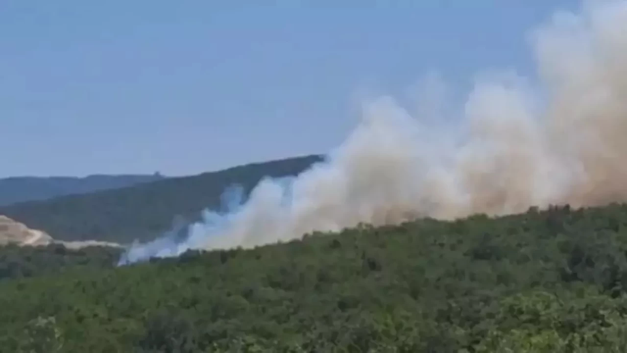 Bursa'da ��kan orman yang�n�na m�dahale ediliyor