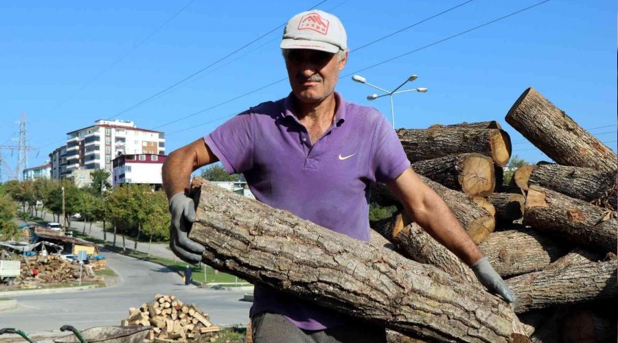 Büyük fabrikalar odunu ateşliyor