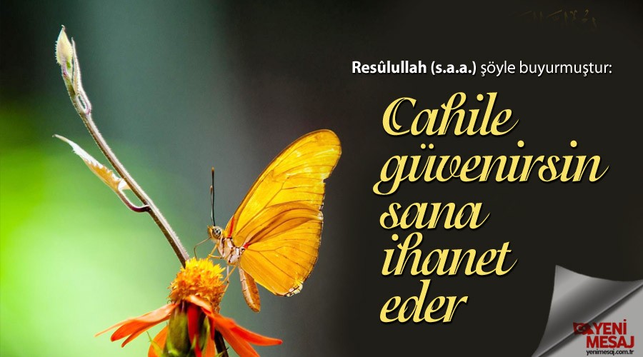 Cahile güvenirsin sana ihanet eder