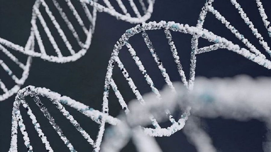 Çalışmalara göre ayak izi veya nefesten insan DNA'sı tespit edilebiliyor!