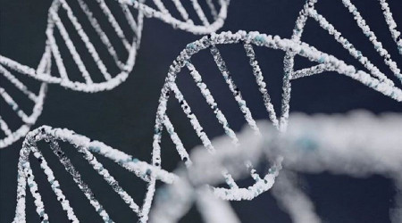 Çalışmalara göre ayak izi veya nefesten insan DNA'sı tespit edilebiliyor!