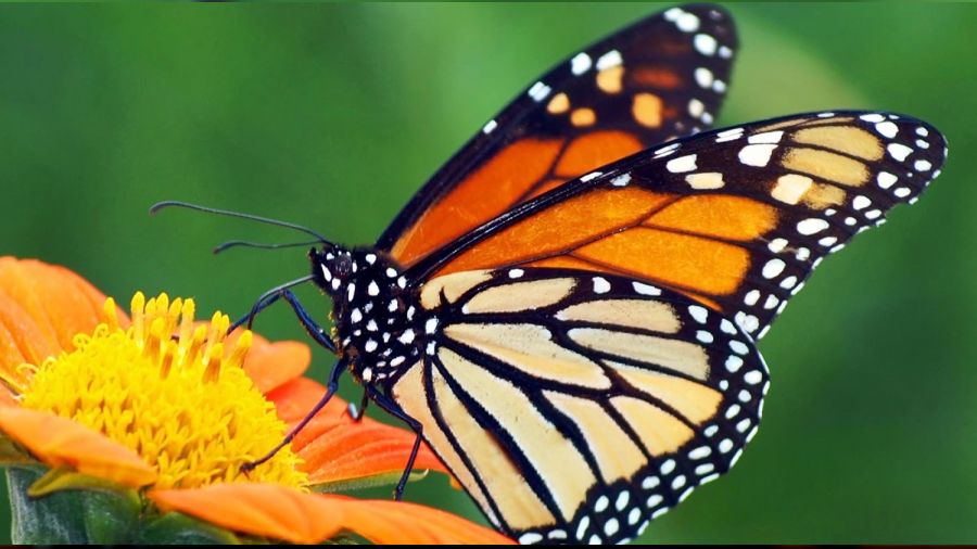 Çalışmayı bırakma