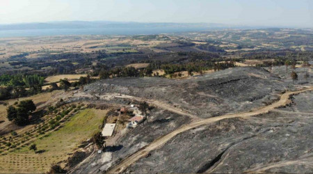 Çanakkale'deki orman yangını kontrol altına alındı