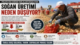 Çiftçi soğan ekmekten vazgeçiyor