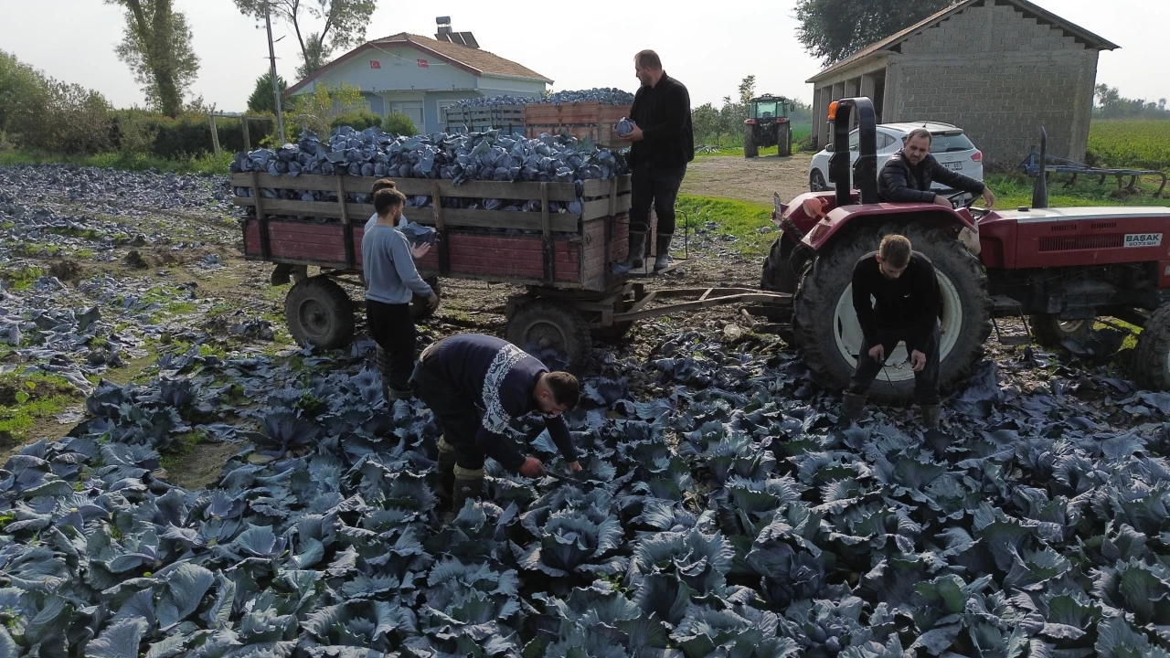 Çiftçinin yüzü hiç mi gülmeyecek?