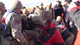 oban koyunlarn arasnda scakln muhafaza ederek hayatta kalm