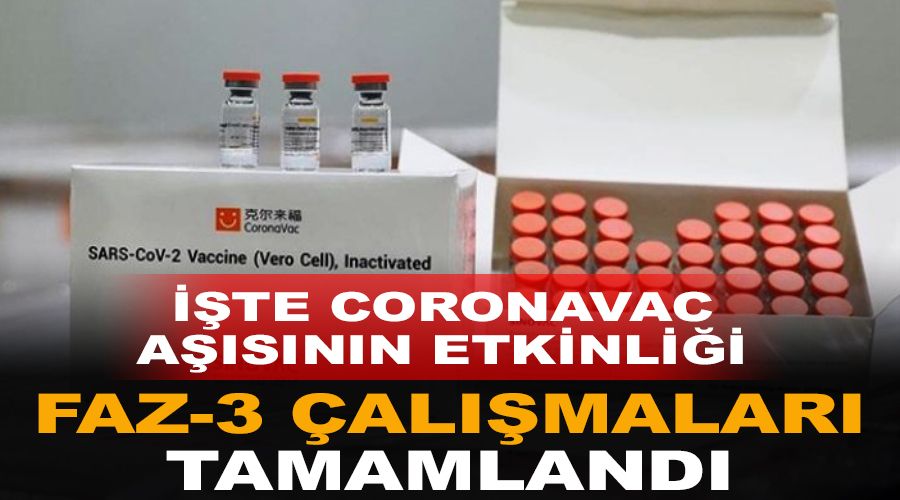 CoronaVac a��s�n�n etkinli�i y�zde 83.5 ��kt�