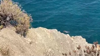 Denizde heyelan pani�i, y�zerken �zerlerine toprak kayd�
