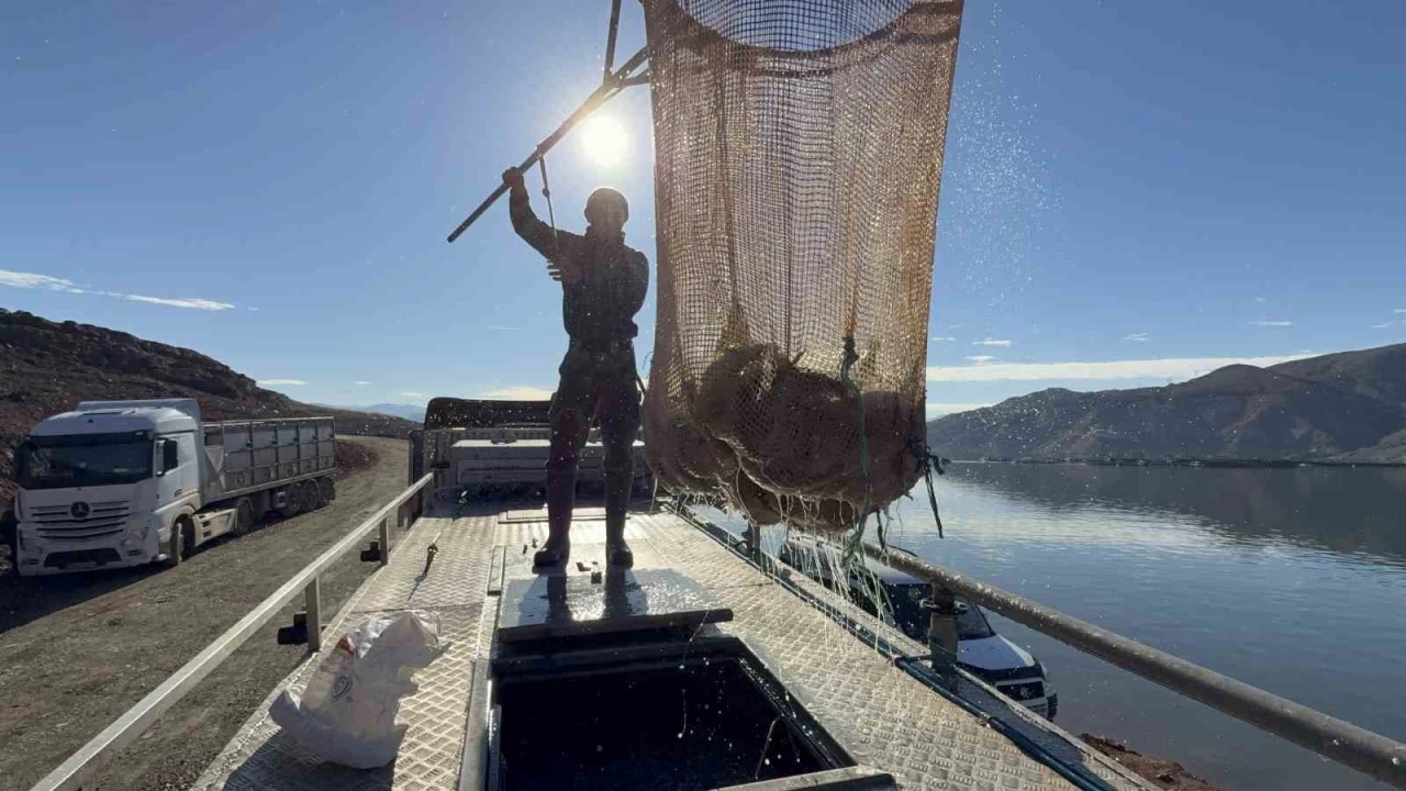 Denizi olmayan Tokat'ın somonları dünya sofralarına ulaşıyor