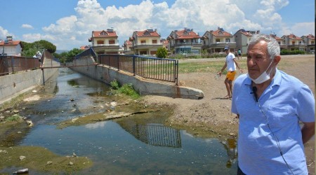 Dikili'de mandıra kirliliği isyanı