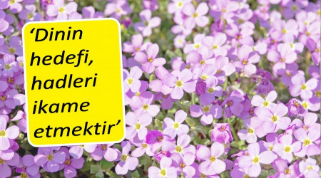 ‘Dinin hedefi, hadleri ikame etmektir’