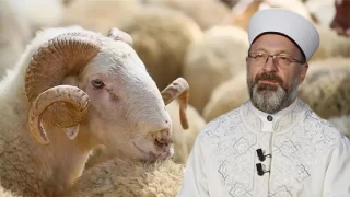 Diyanet'in kurban açıklaması AKP'yi kızdıracak