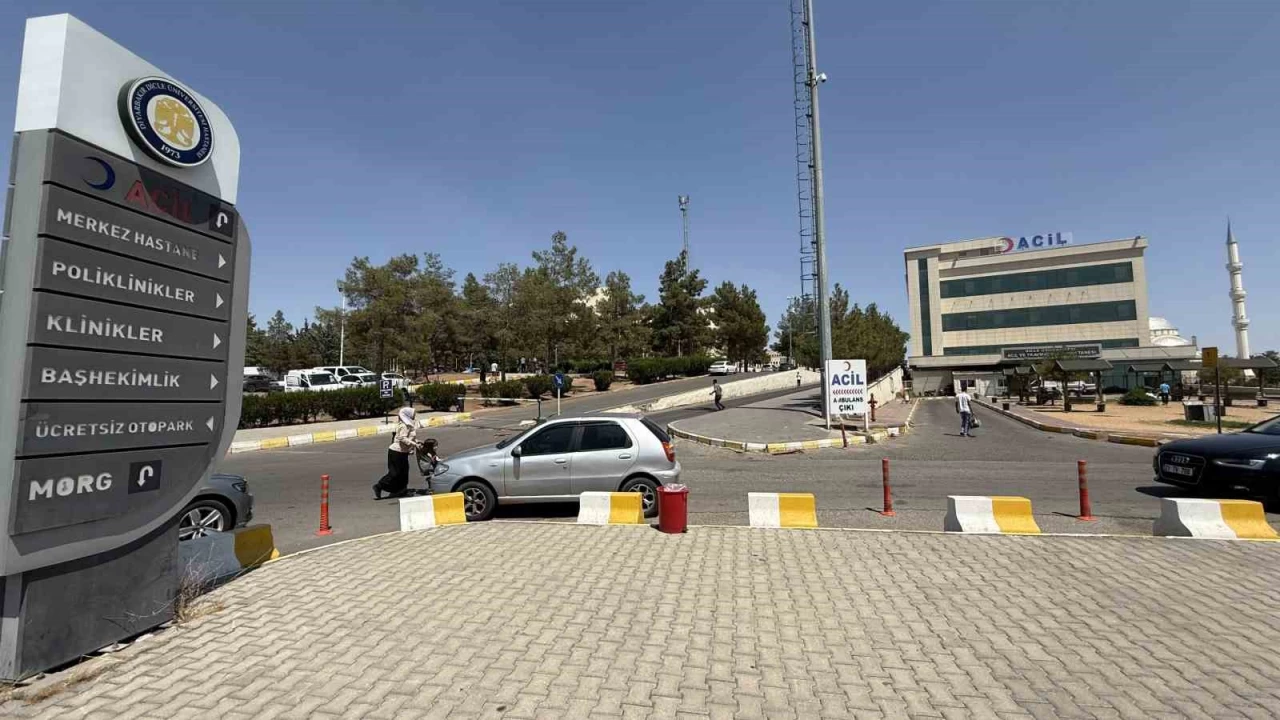 Diyarbakır'da kız kaçıran gencin annesi öldürüldü