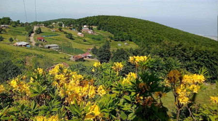 Doğaseverler 'Kocadağ Şenliği'nde buluşacak