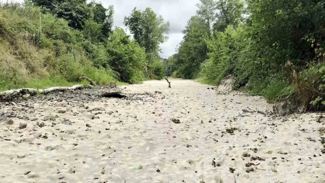 Do�aseverlerin kuruyan g�zdesi suya tekrar kavu�tu