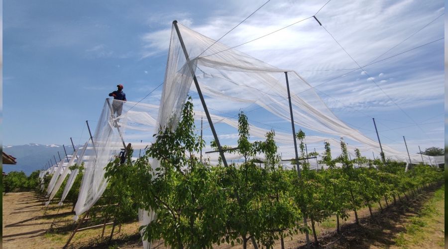 Dolular fileden d�nd�